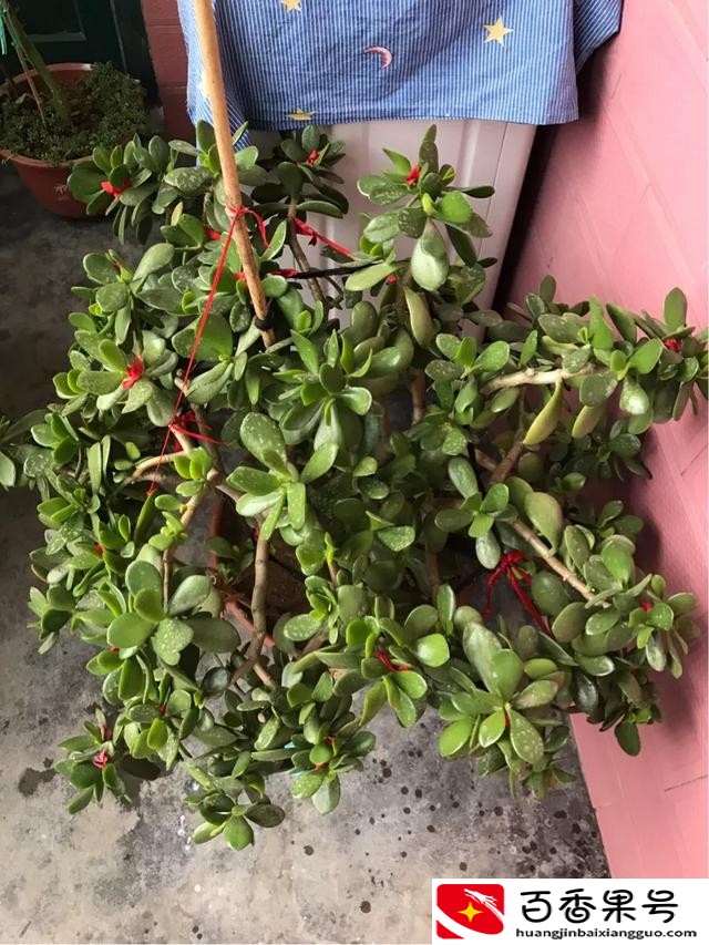 开化妆品店需要多少钱