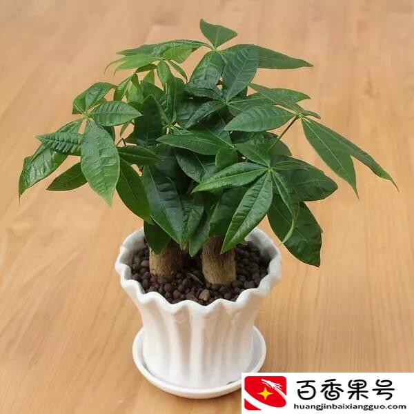 开化妆品店需要多少钱