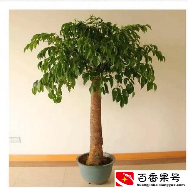 开化妆品店需要多少钱