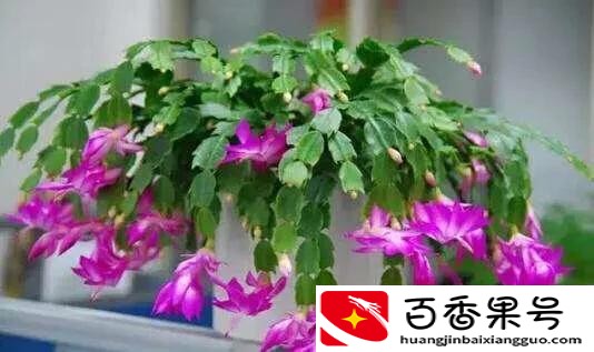开化妆品店需要多少钱
