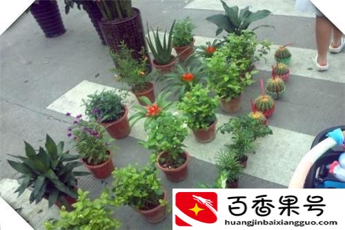 5000创业？5000元创业能干什么工作？