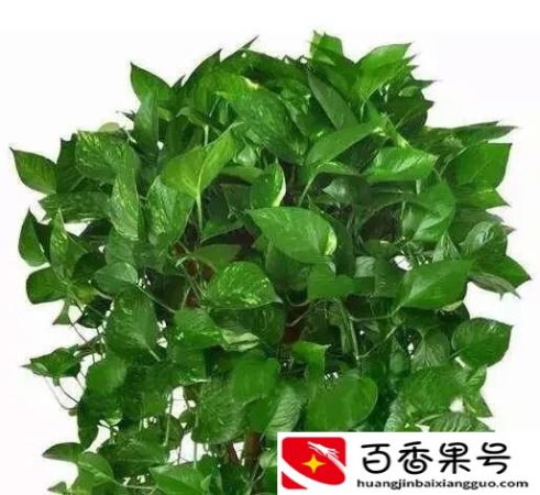 开化妆品店需要多少钱