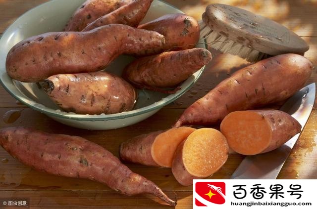地瓜和红薯的区别？地瓜和红薯是一种东西吗？