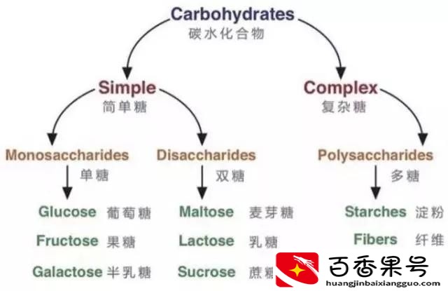 优质碳水主食有哪些
