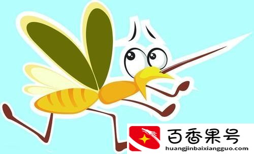 b型血招蚊子吗？招蚊子的人是什么体质？