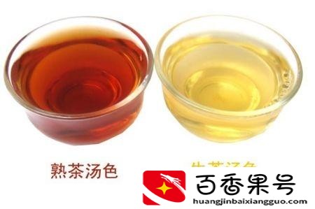 生普洱和熟普洱有什么区别