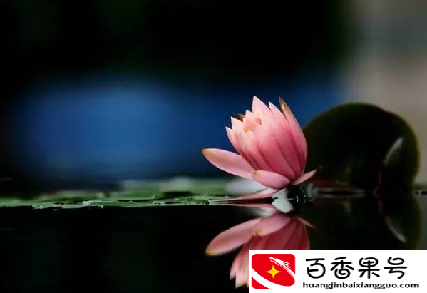 千万不要回向给冤亲债主