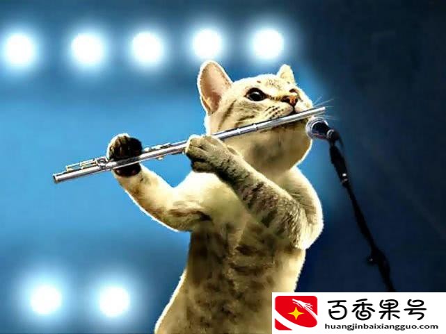 后悔让女儿学长笛