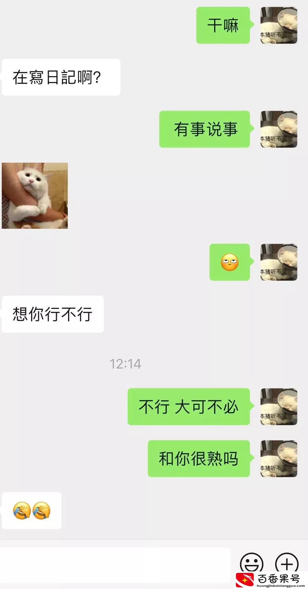 直女聊天都是什么样子