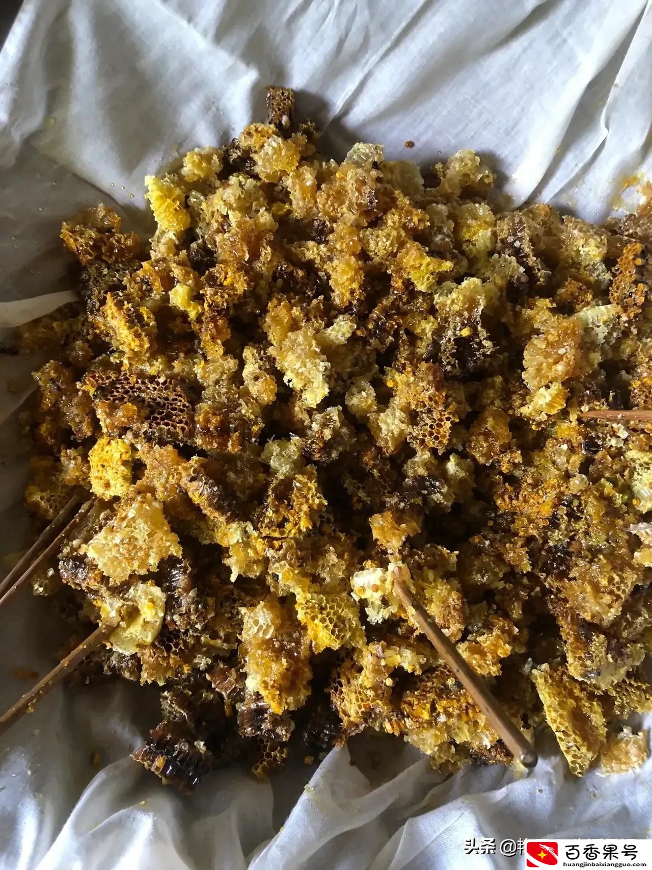 纯正土蜂蜜多少钱一斤