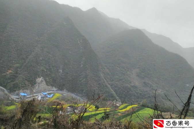 小岗村的现状很凄惨