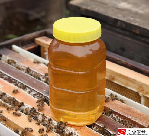怎么鉴别真蜂蜜