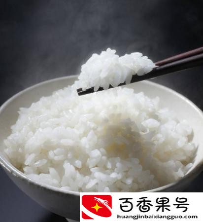 没有猫粮的情况下喂猫吃什么