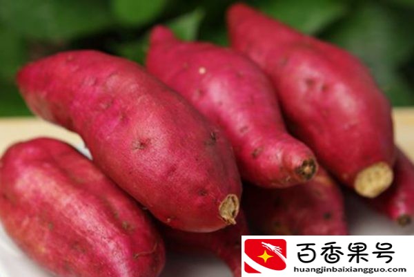没有猫粮的情况下喂猫吃什么
