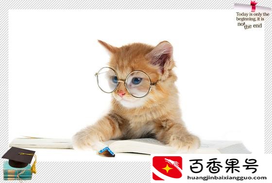 养猫之后运气越来越差