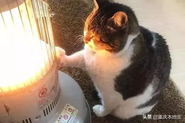 重庆最冷天气是几度？重庆最冷是多少度？