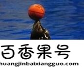 海狮和海豹的区别