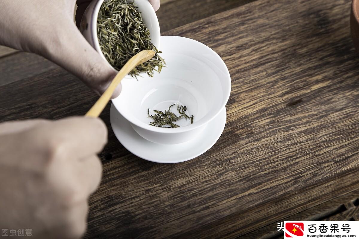 毛尖属于什么茶