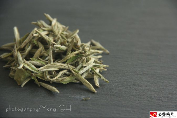 白茶属于什么茶的系列