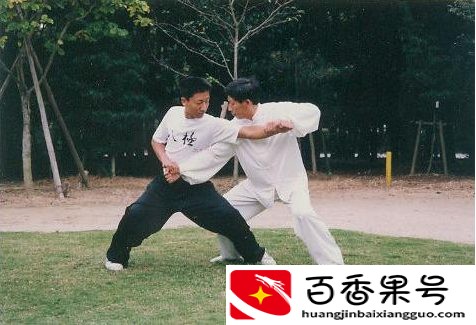 中国公认第一最凶狠的拳法