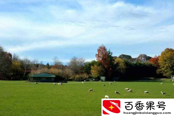 新西兰工资大概多少钱一个月