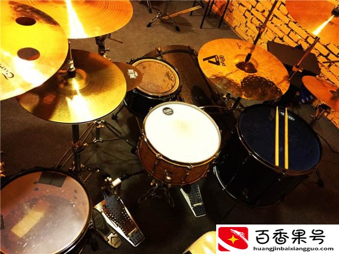 什么乐器学的最快