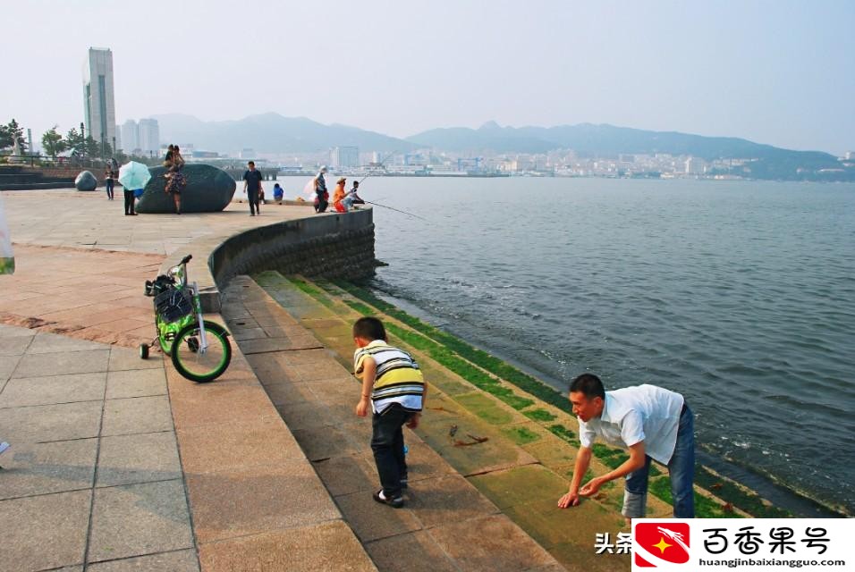 海星是不是食肉动物？海星是怎么进食的？