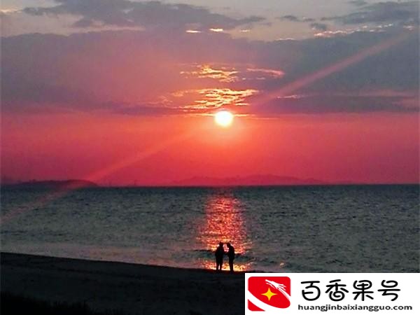 海星是不是食肉动物？海星是怎么进食的？