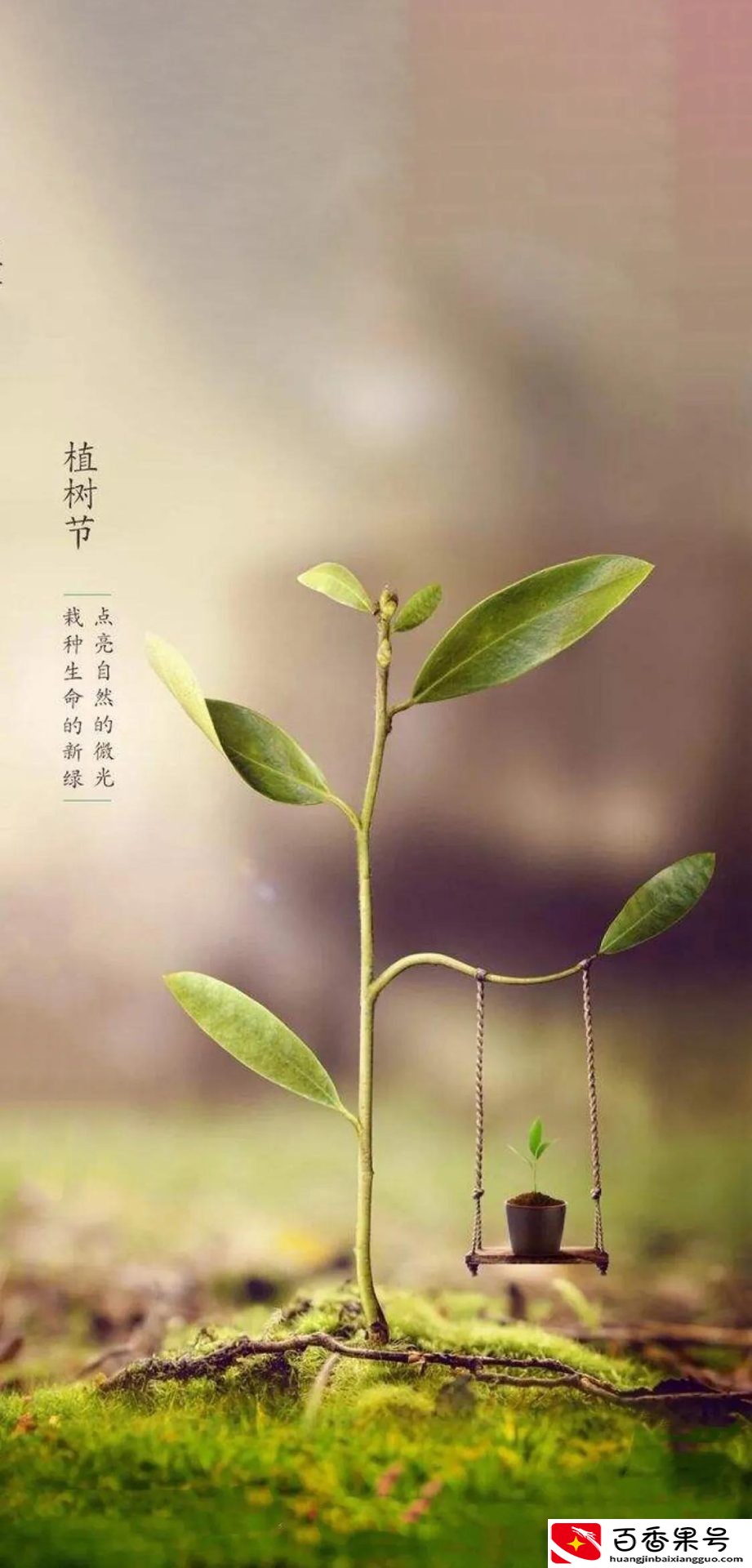植树节是为了纪念哪位名人