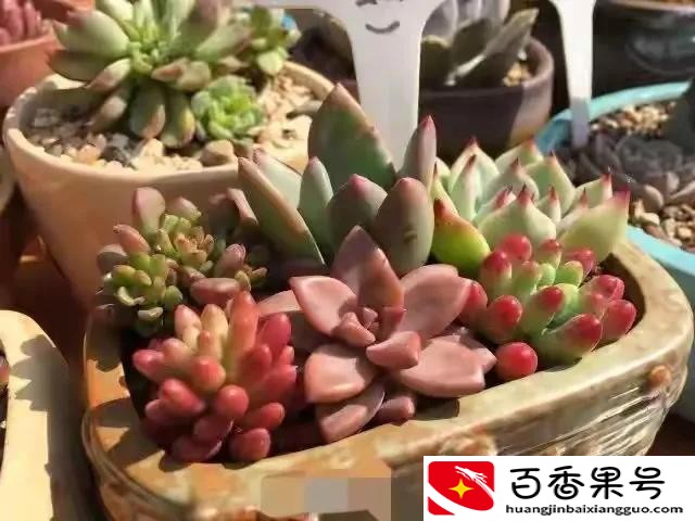 摆地摊一个月真实经历？摆地摊赚钱吗？