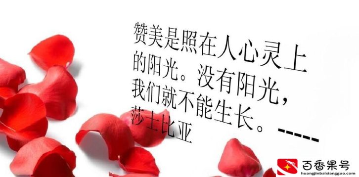 夸事业成功人士的句子