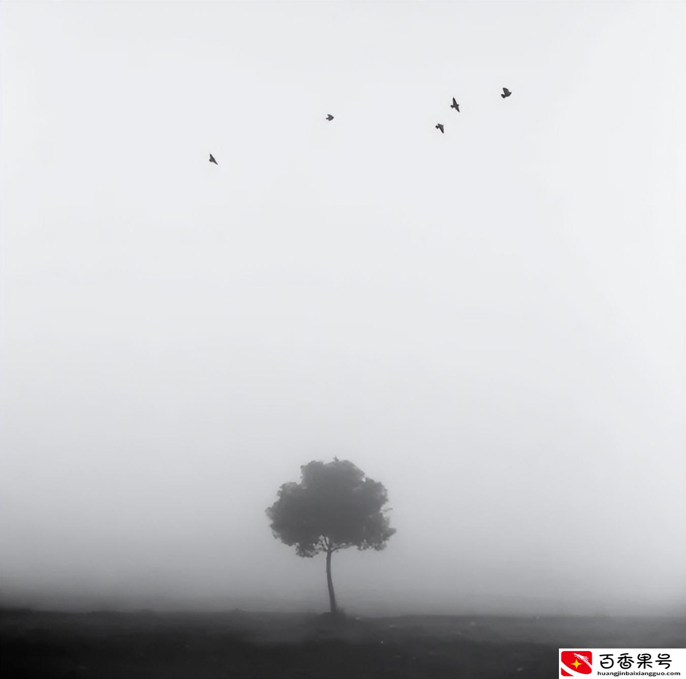 风华正茂的年纪
