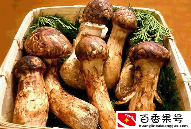 云南有什么特产？云南特产有哪些值得买？