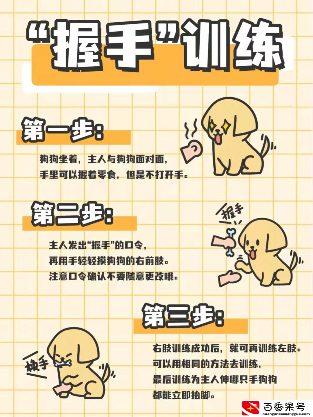 怎样训练金毛狗