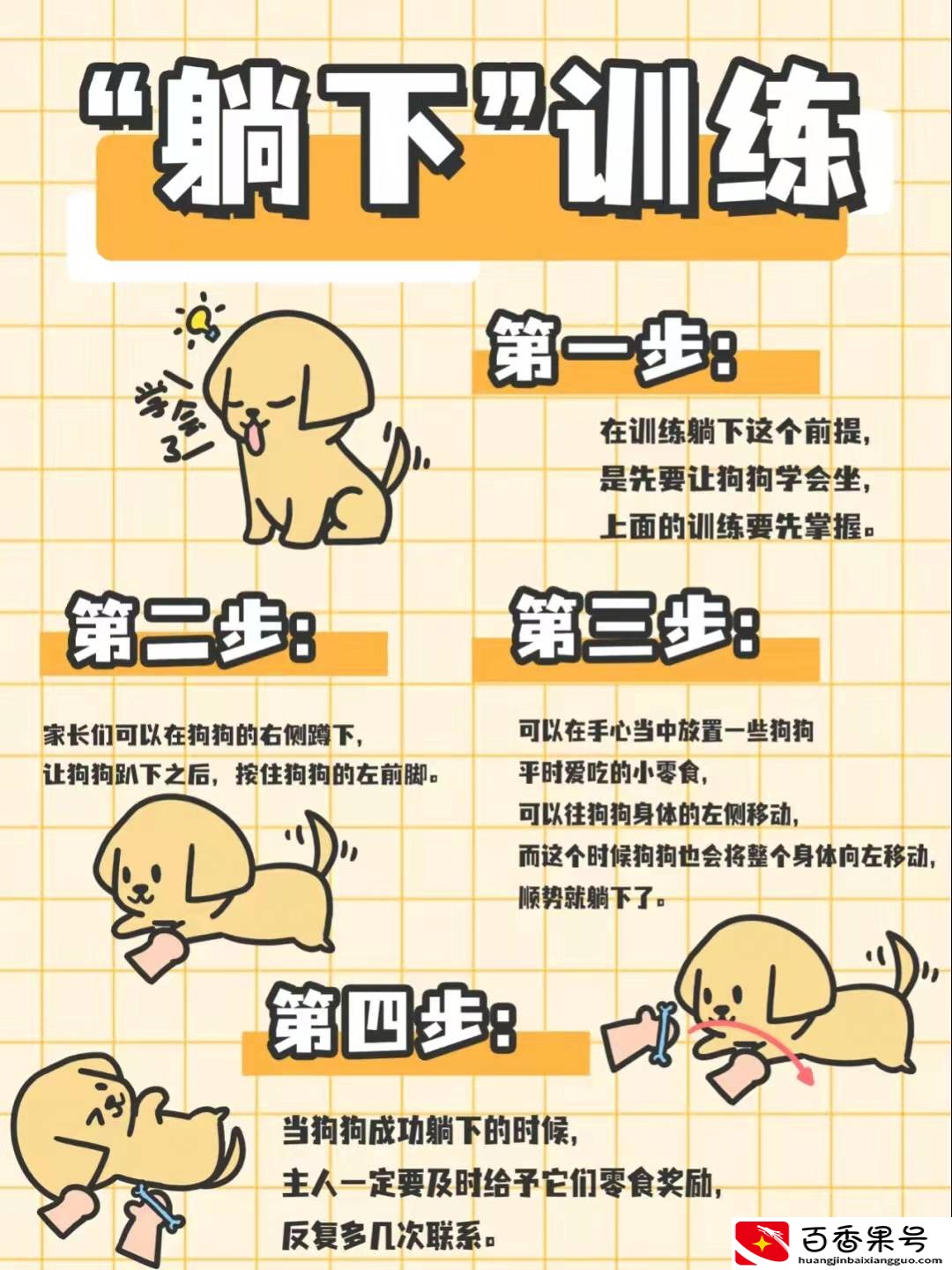 怎样训练金毛狗