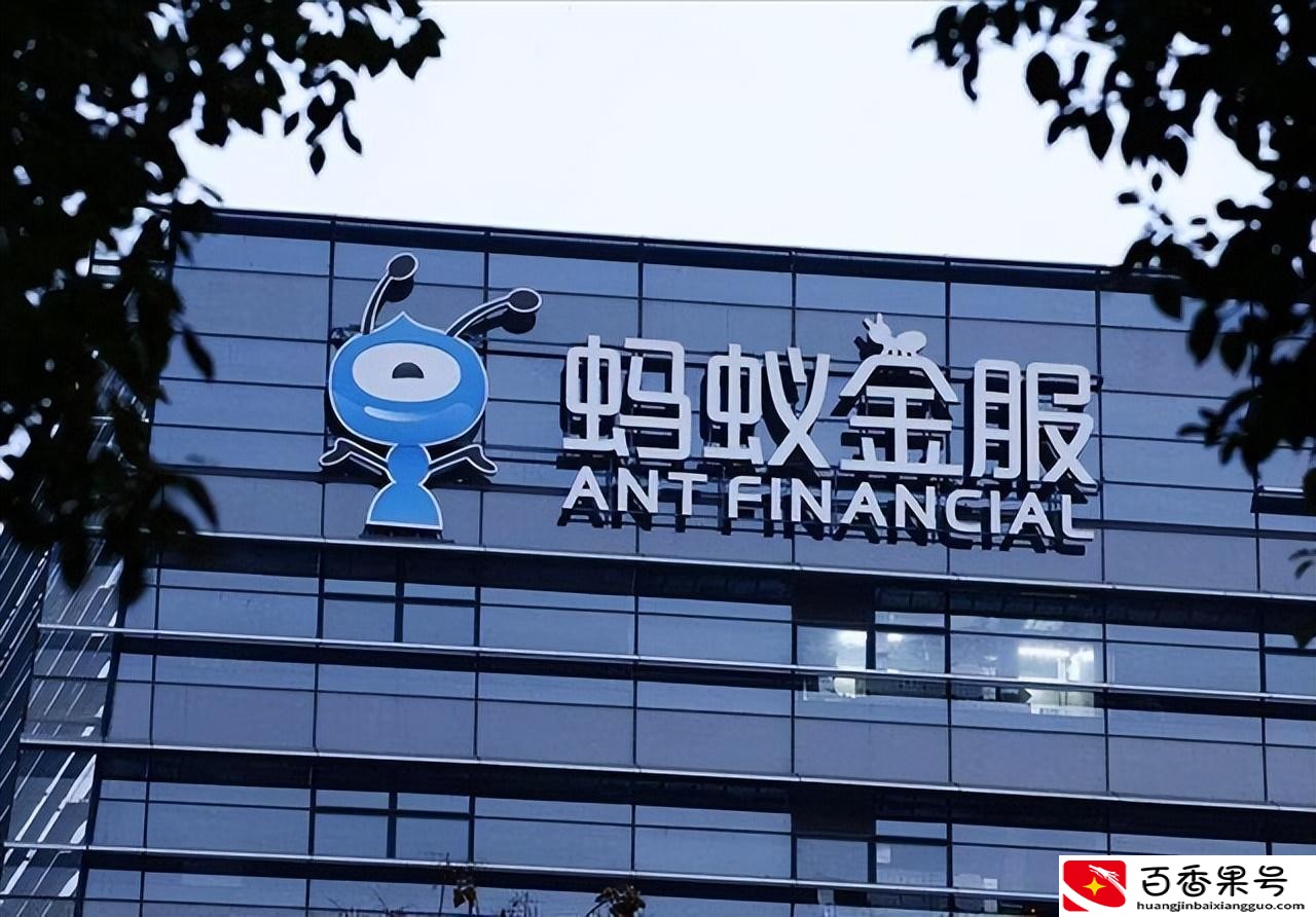 为什么要处理马云