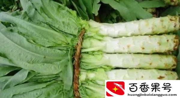 农村种植什么能致富