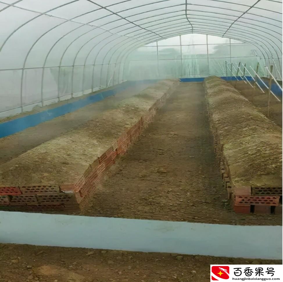 怎样养蝎子多赚钱？养蝎子赚钱是真的吗？