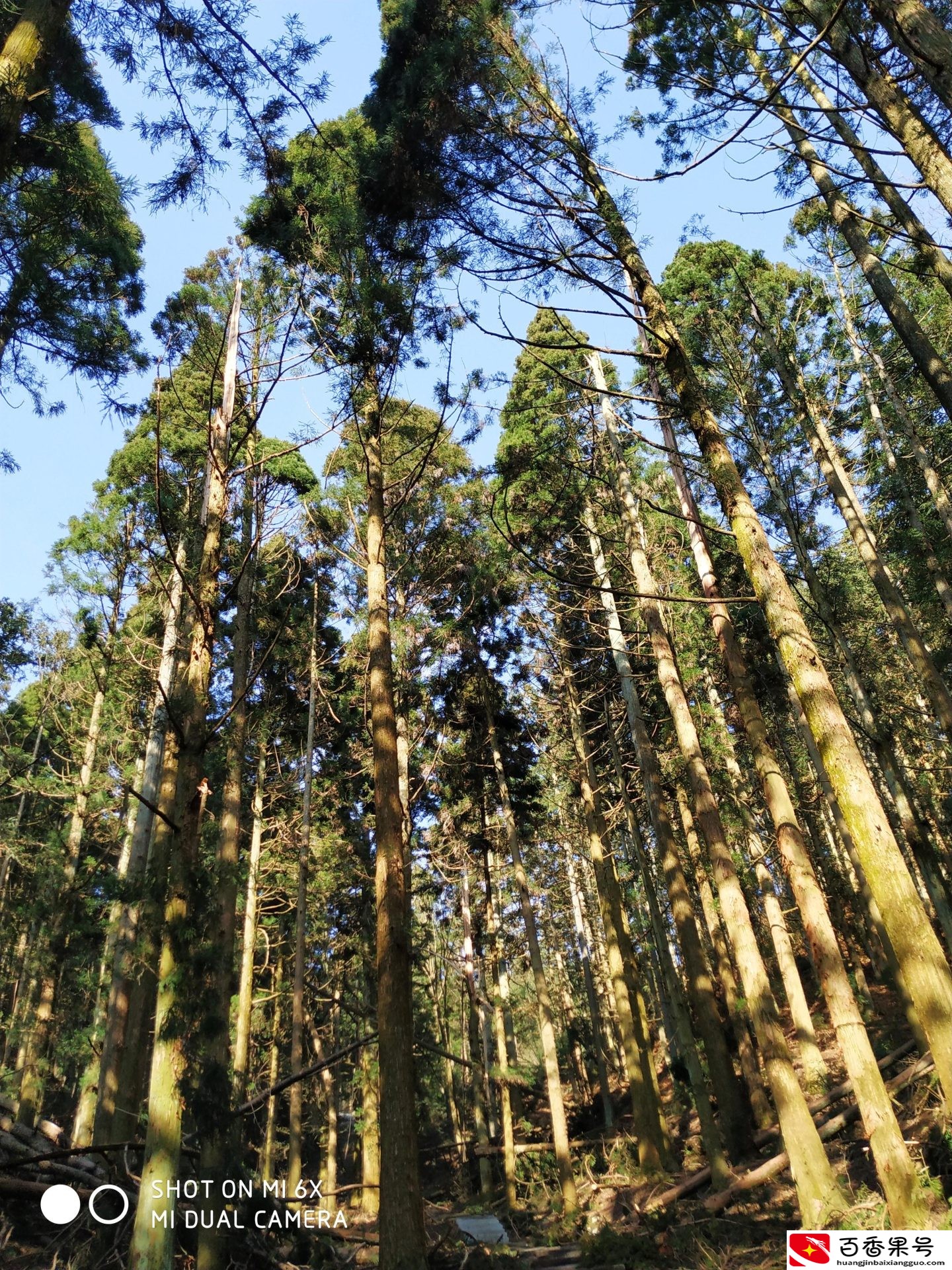 四川有庐山这个地方吗？庐山在哪里属于哪个省？