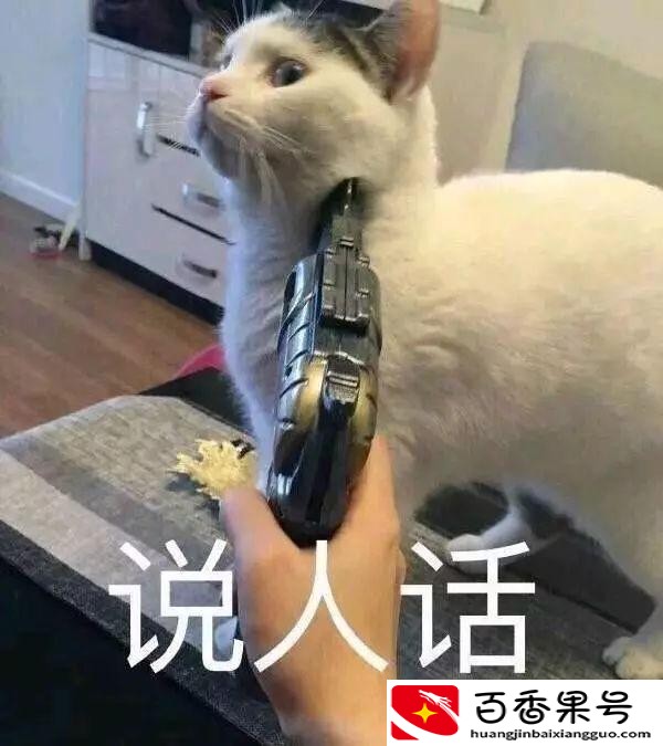 哪个国家有820种语言