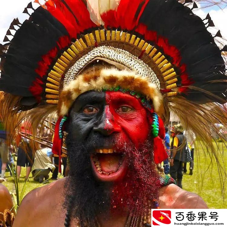 哪个国家有820种语言