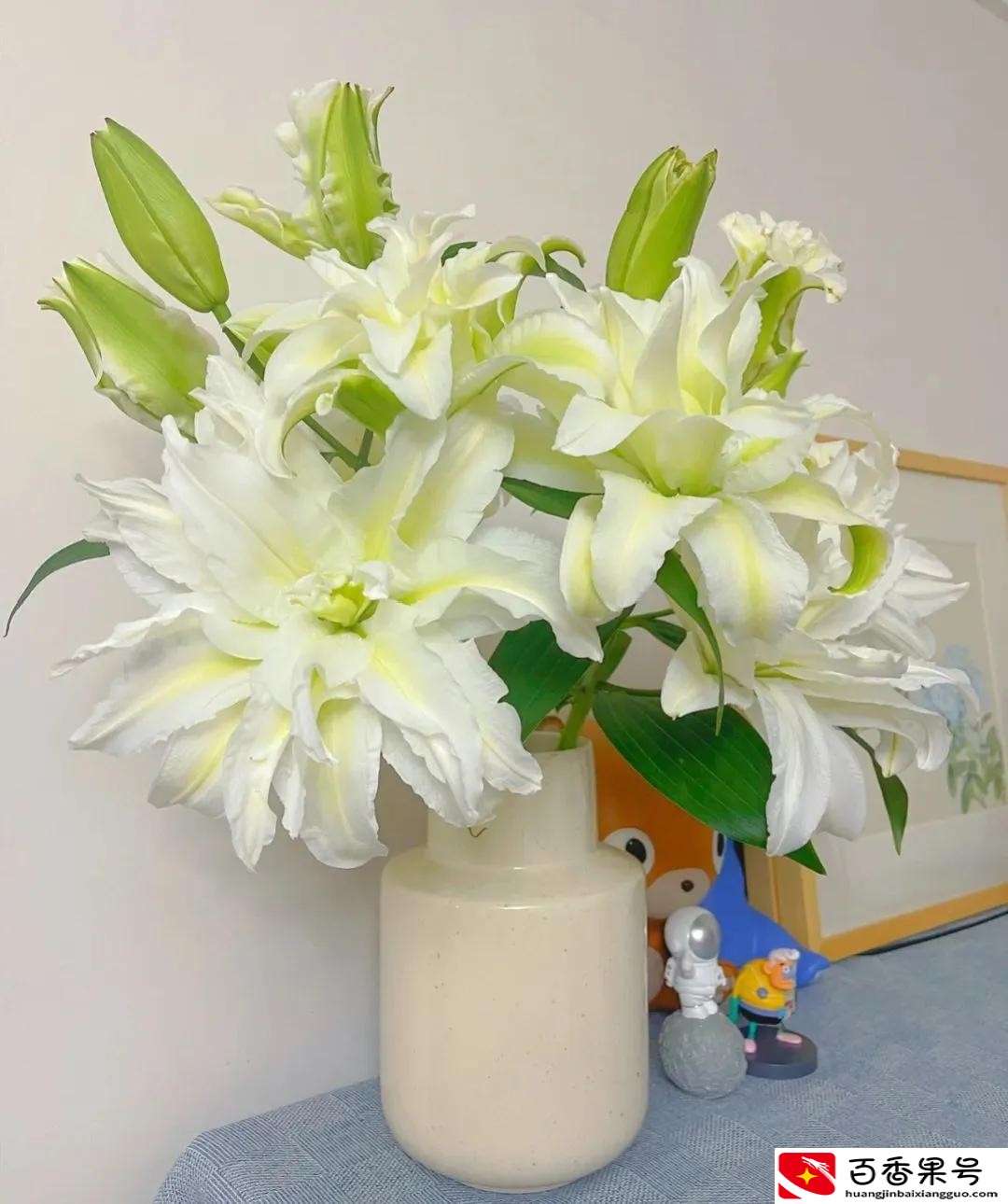 送男朋友花送什么花合适