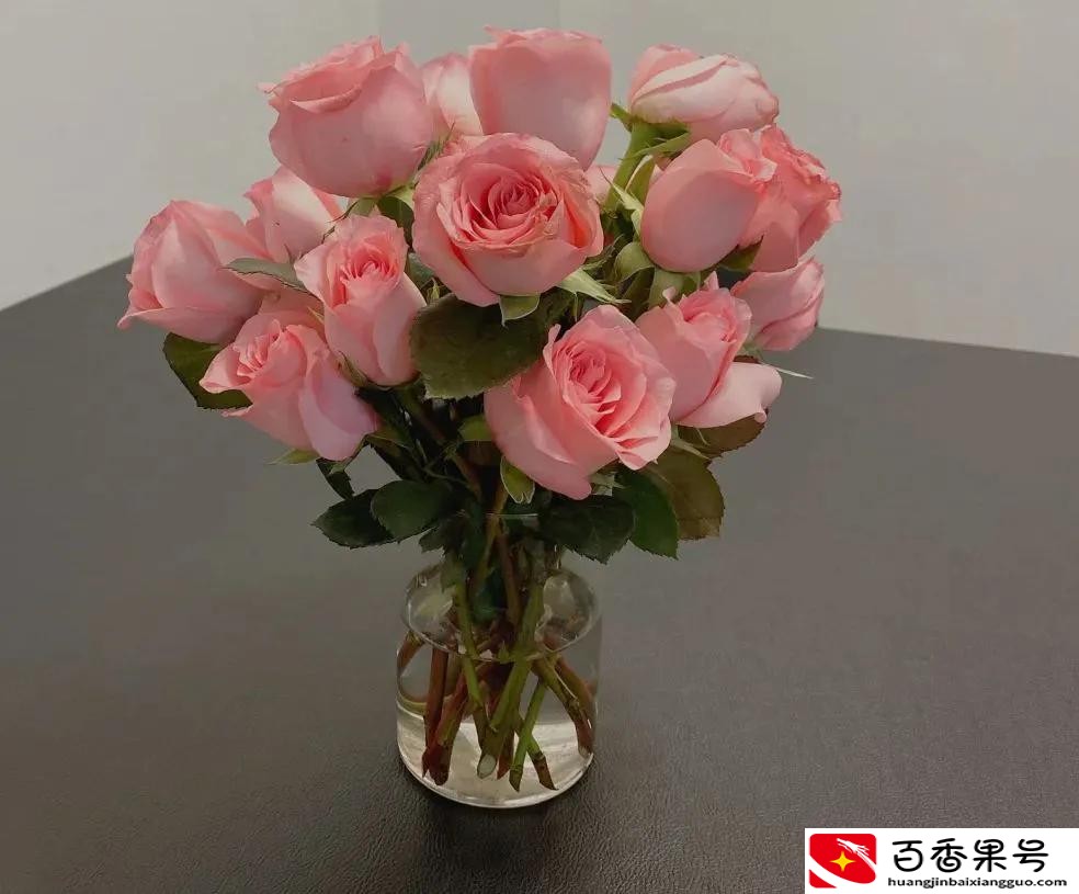 送男朋友花送什么花合适