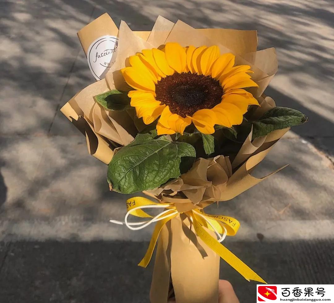 送男朋友花送什么花合适