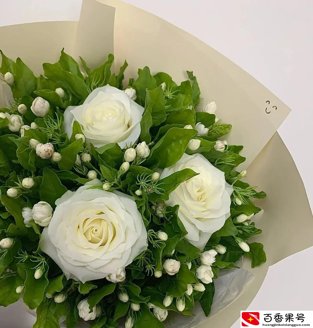 送男朋友花送什么花合适