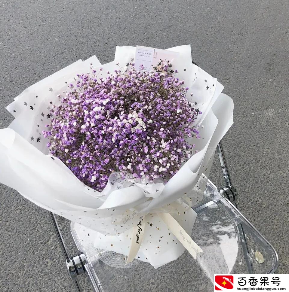 送男朋友花送什么花合适