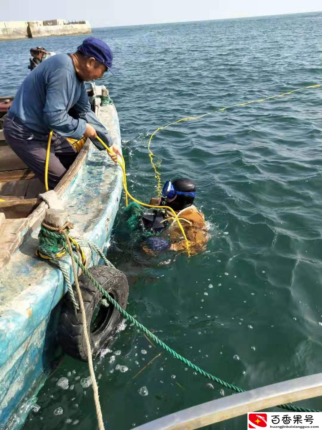 哪里买海参比较好又便宜