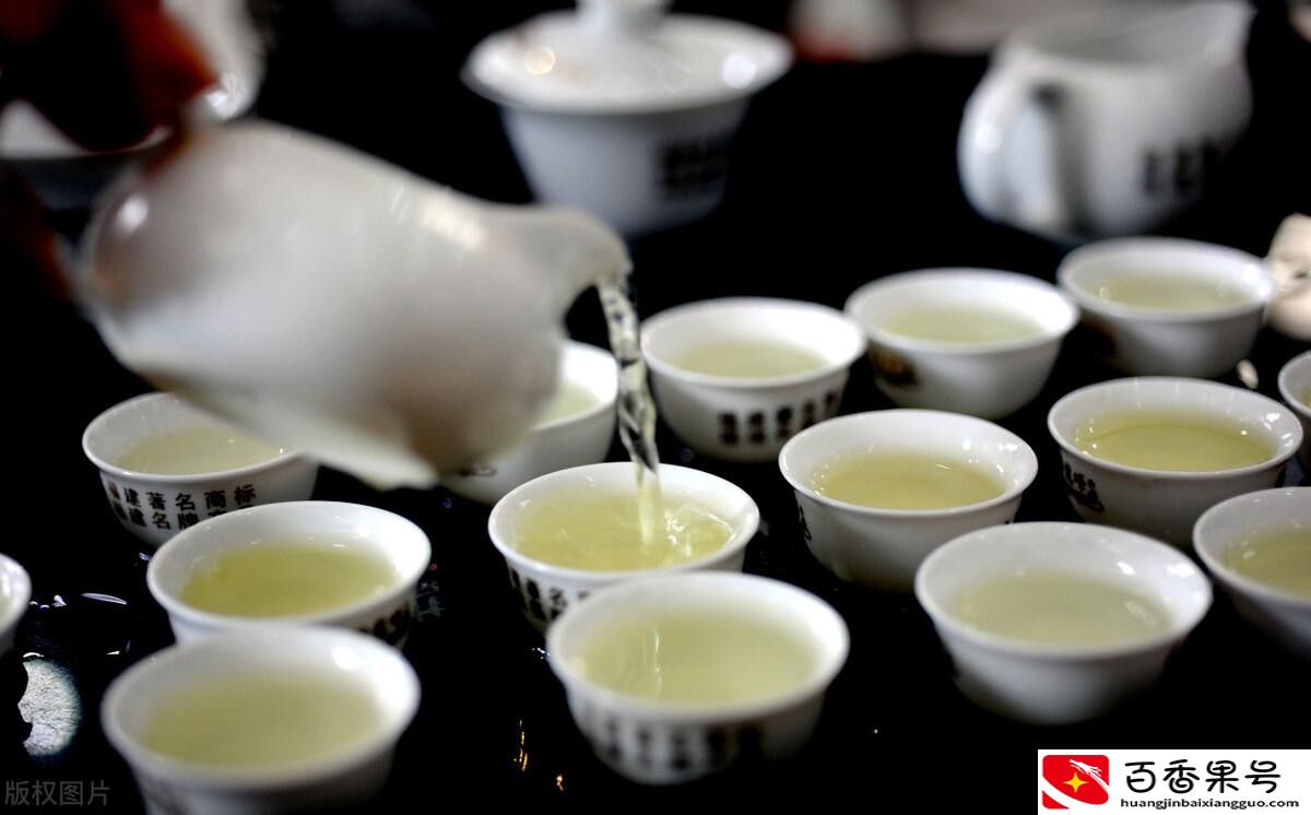 铁观音属于什么茶