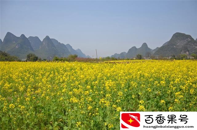 壮丽祖国山河-桂林山水甲天下，阳朔堪称甲桂林，阳朔到底多美？