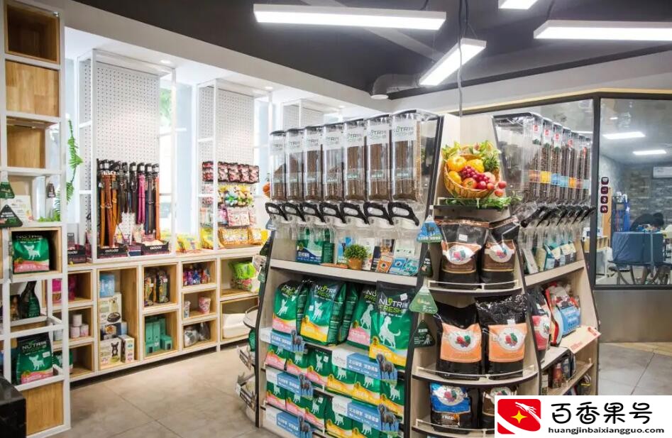 宠物店一年利润怎么样